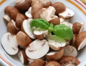 蘑菇吃瓜料每日爆料,揭秘娱乐圈最新爆料动态