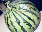 温州网红吃瓜,揭秘网络红人的幕后故事